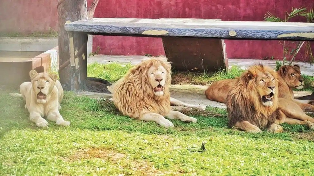 Taman Safari Gurun Putih Lestari